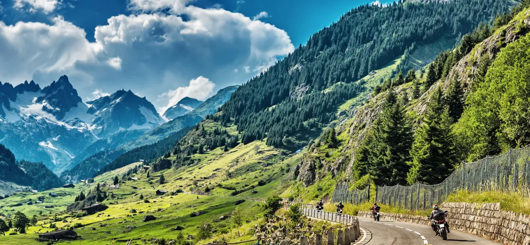 Shimla