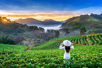 Vietnam