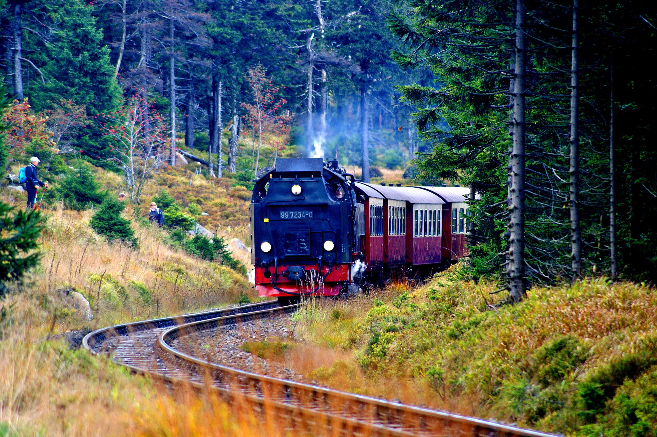 4D Gangtok Siliguri