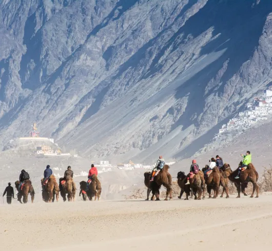 Leh Nubra Tour