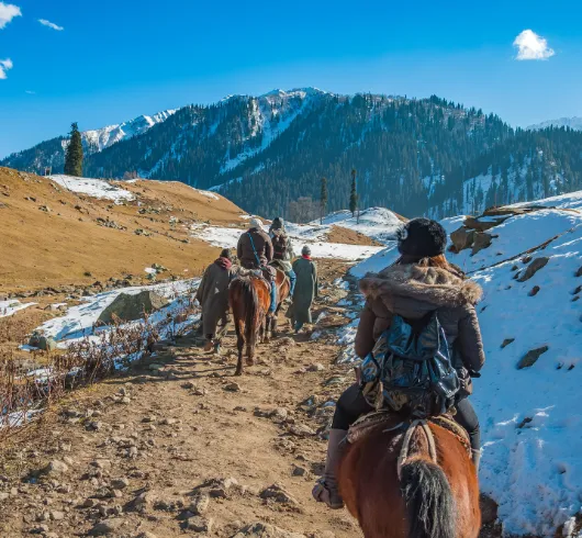 7D 1 KARGIL 3 LEH 1 NUBRA 1 PANGONG