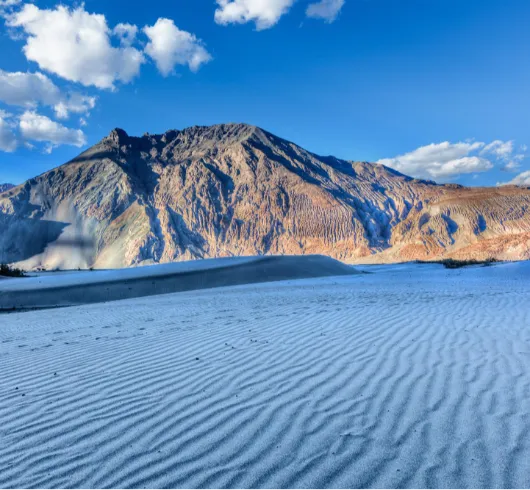 8D 4 LEH 1 NUBRA 1 PANGONG 1 Tso Morori