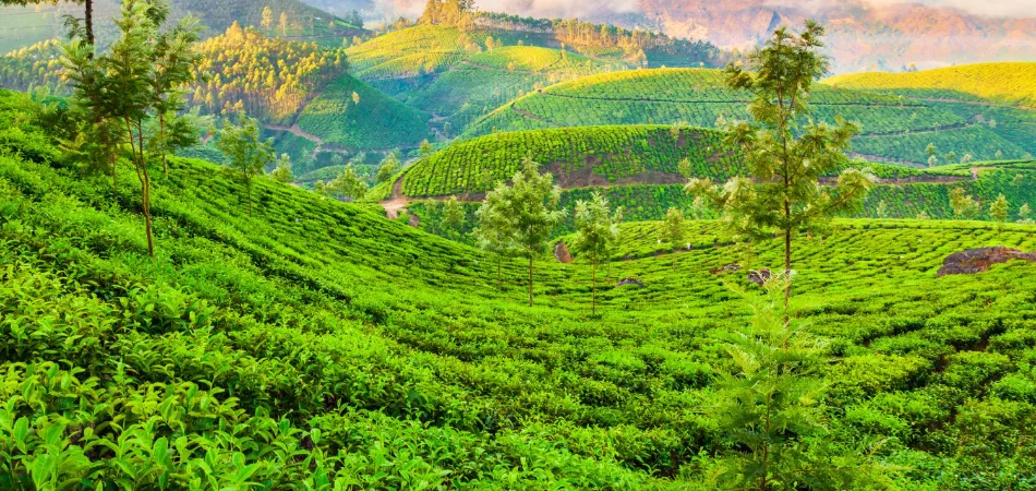 Gangtok Darjeeling Kalimpong